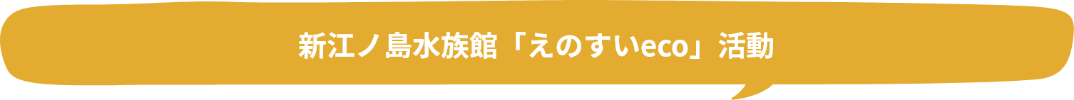 新江ノ島水族館「えのすいeco」活動