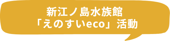 新江ノ島水族館「えのすいeco」活動
